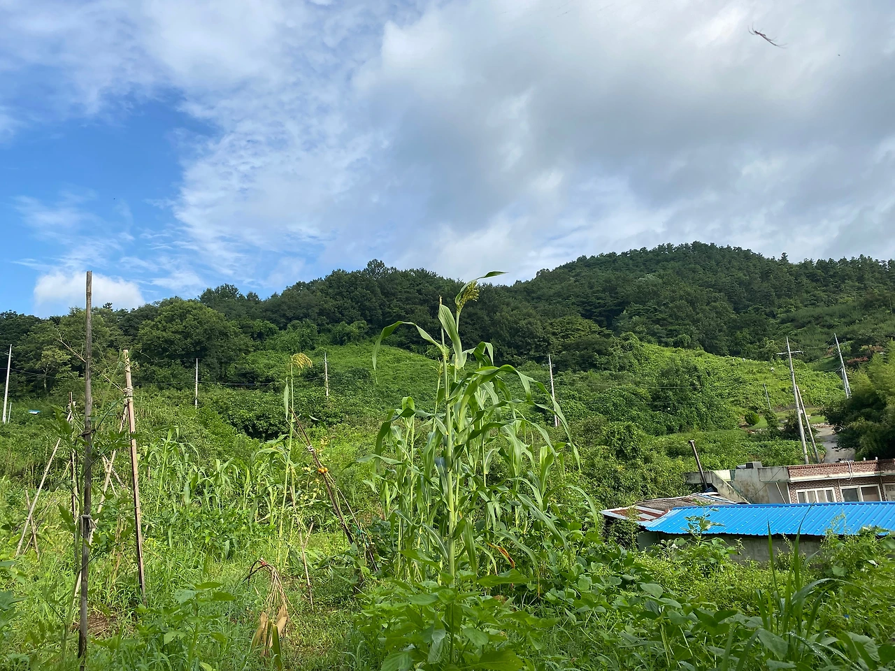 KakaoTalk_Photo_2023-08-13-19-11-44 017.jpeg