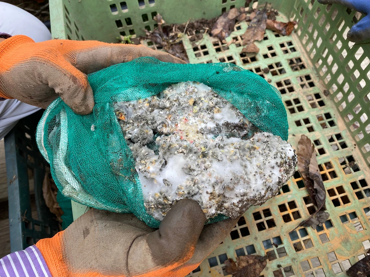 KakaoTalk_Photo_2023-05-14-23-27-53 006.jpeg