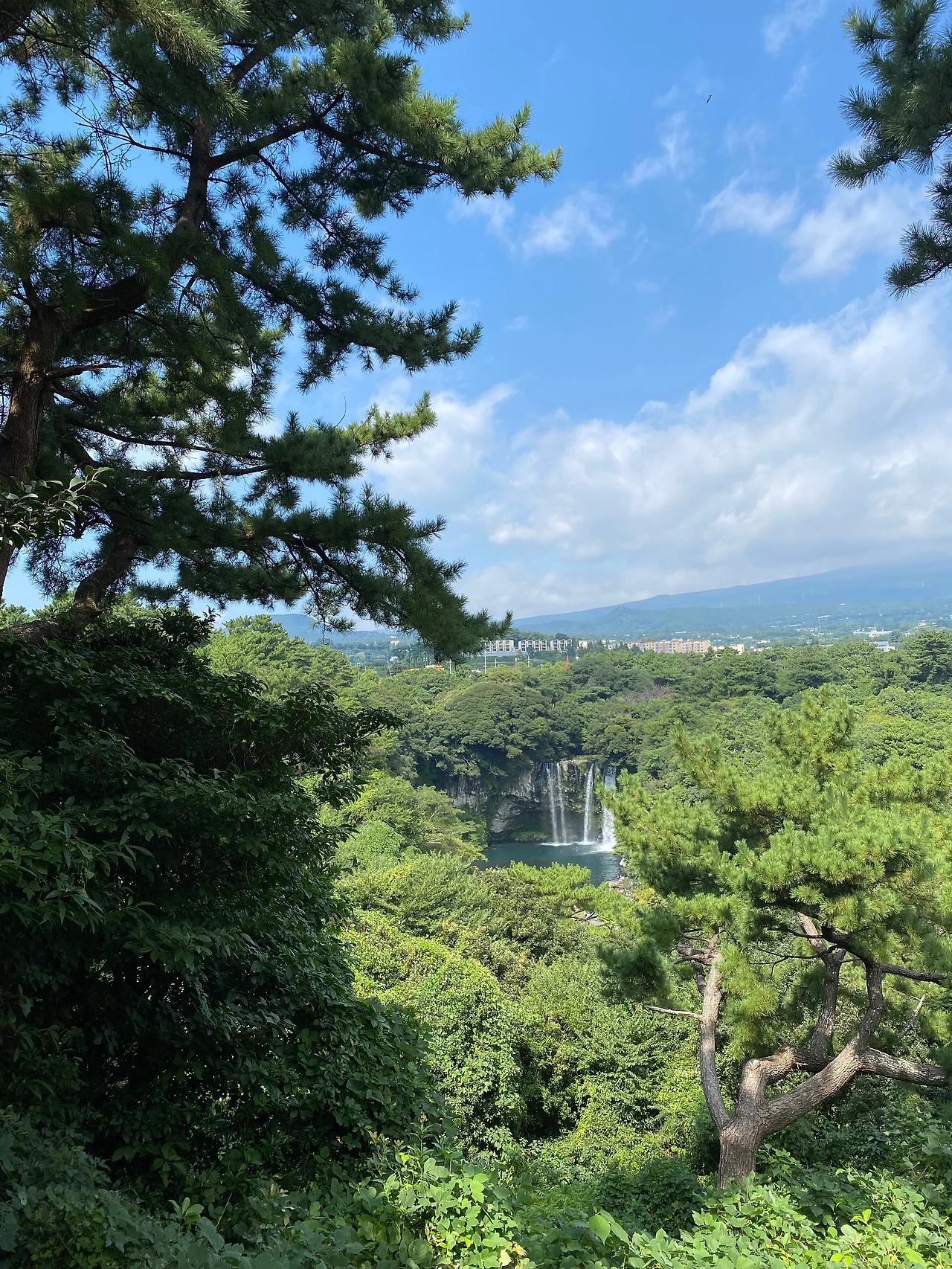 KakaoTalk_Photo_2023-10-02-22-54-49 005.jpeg