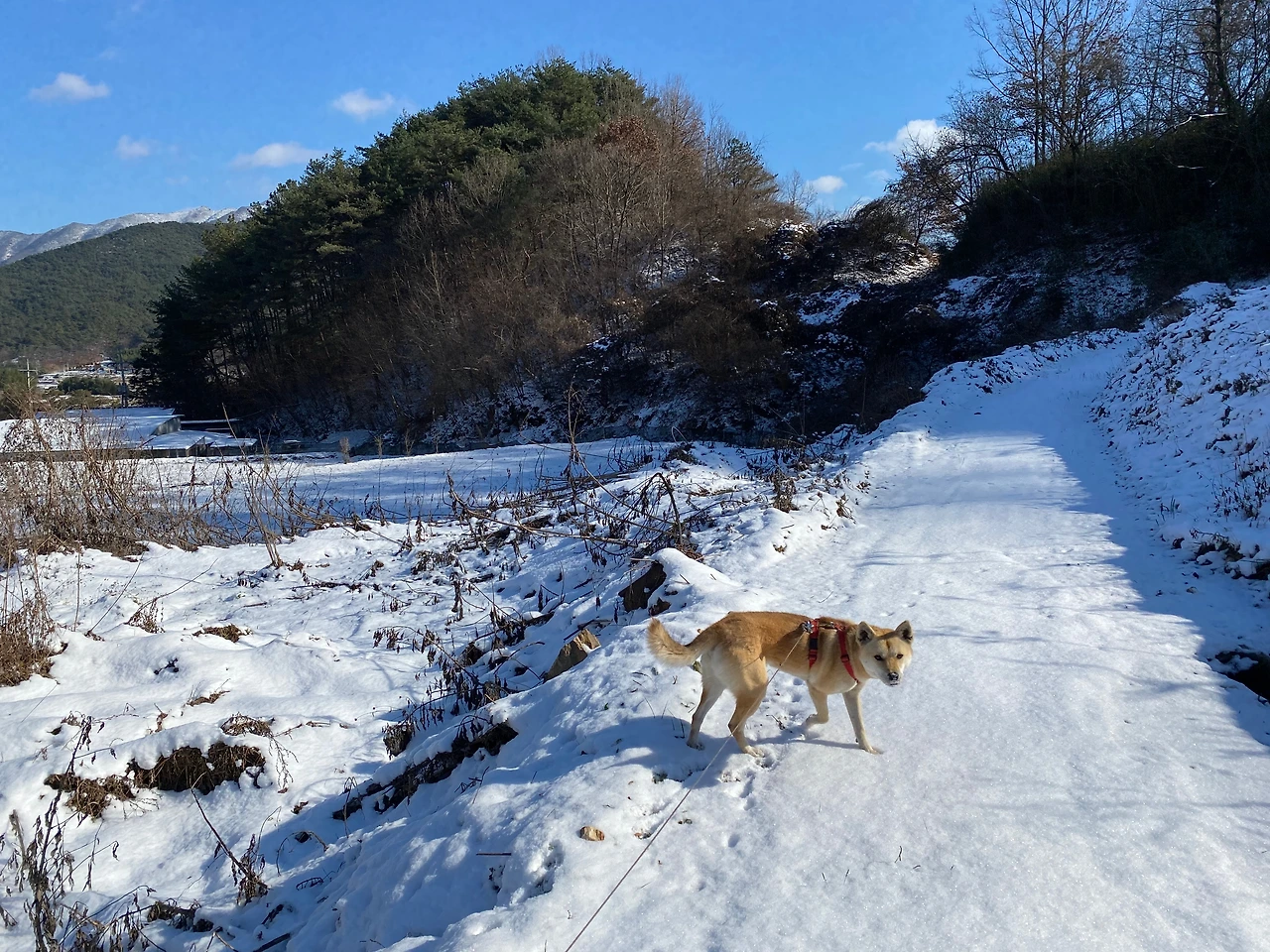 KakaoTalk_Photo_2023-12-22-16-53-45 005.jpeg