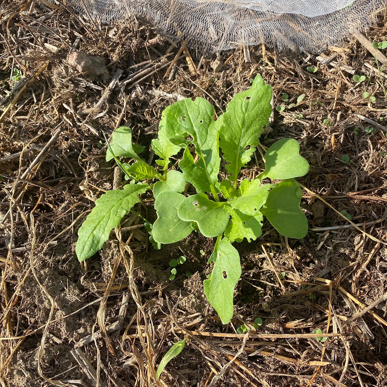 KakaoTalk_Photo_2023-09-11-22-15-04 018.jpeg