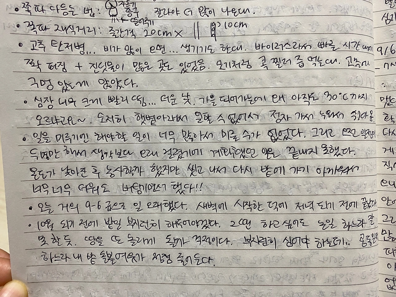 KakaoTalk_Photo_2023-09-11-22-59-59 001.jpeg