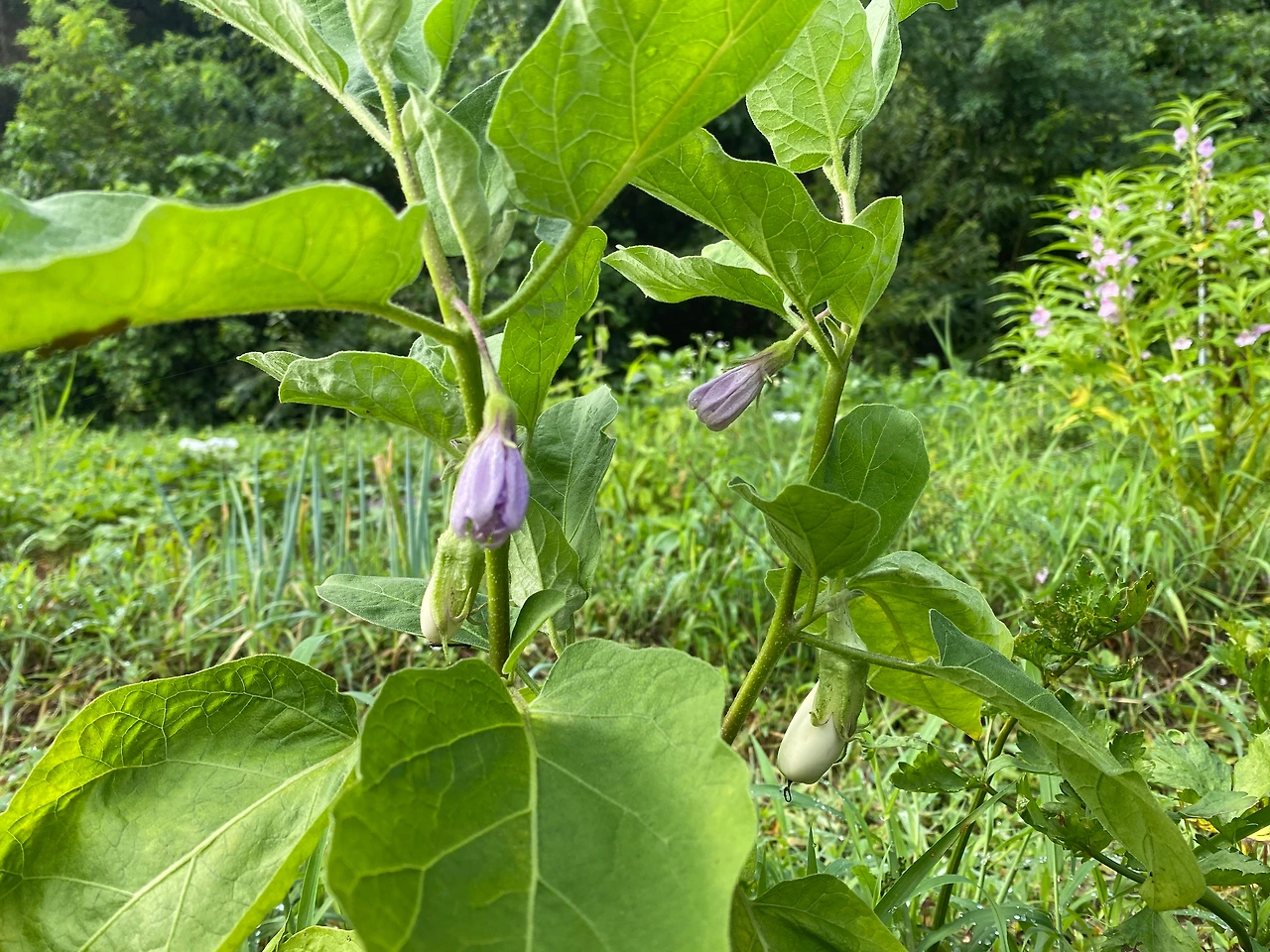 KakaoTalk_Photo_2023-08-13-19-11-43 016.jpeg