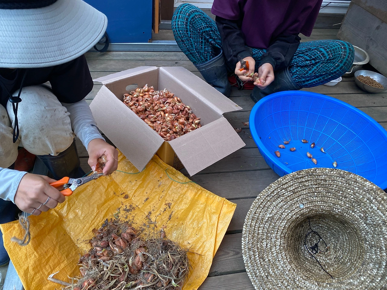 KakaoTalk_Photo_2023-09-11-22-15-07 024.jpeg