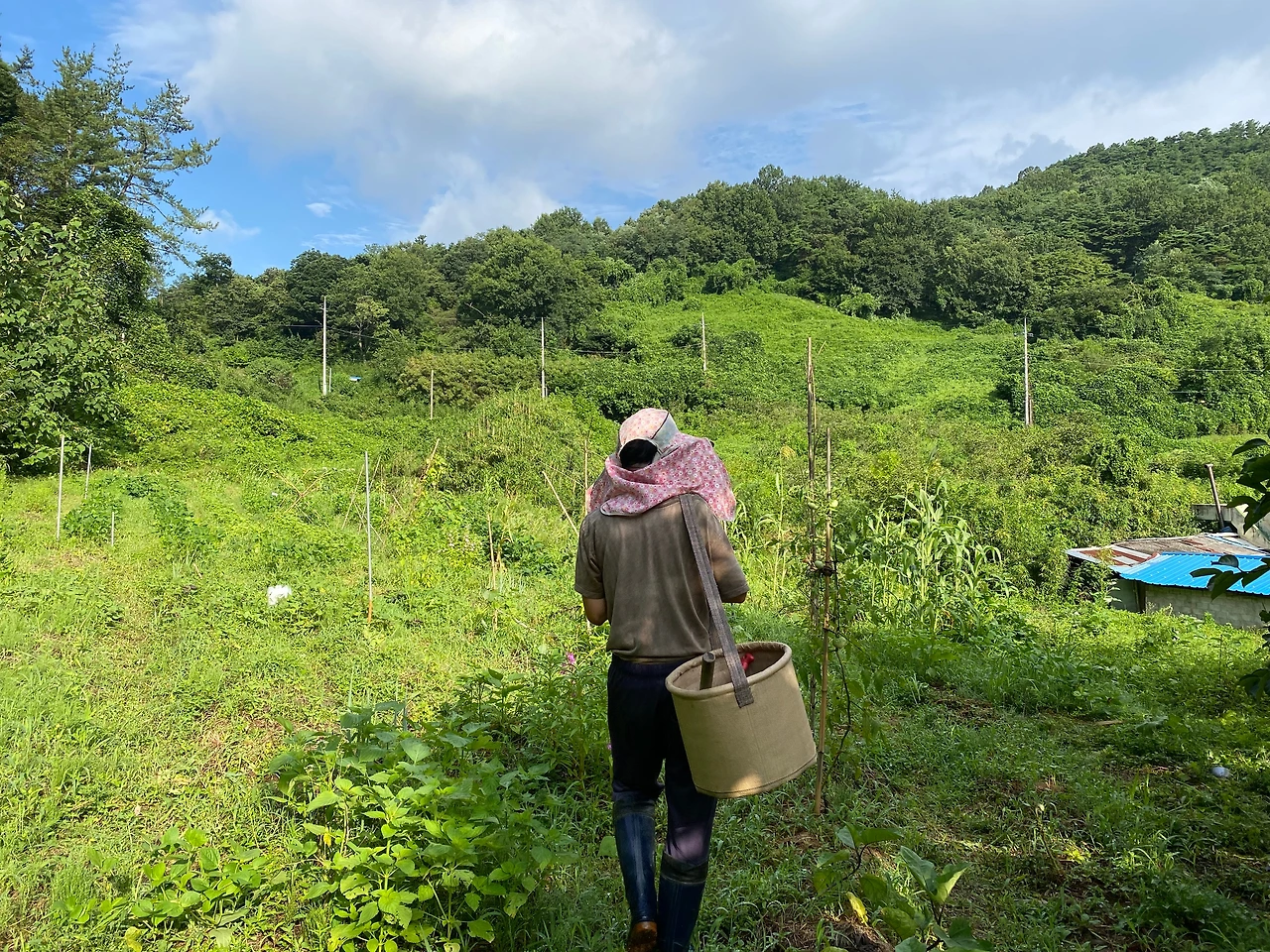 KakaoTalk_Photo_2023-08-13-19-11-44 018.jpeg