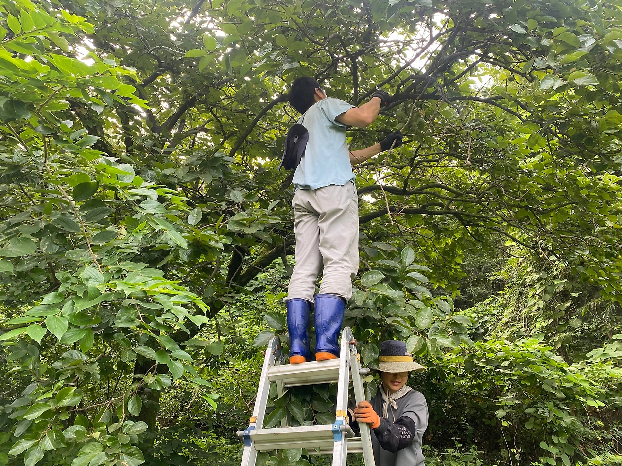 KakaoTalk_Photo_2023-08-29-23-31-52 019.jpeg