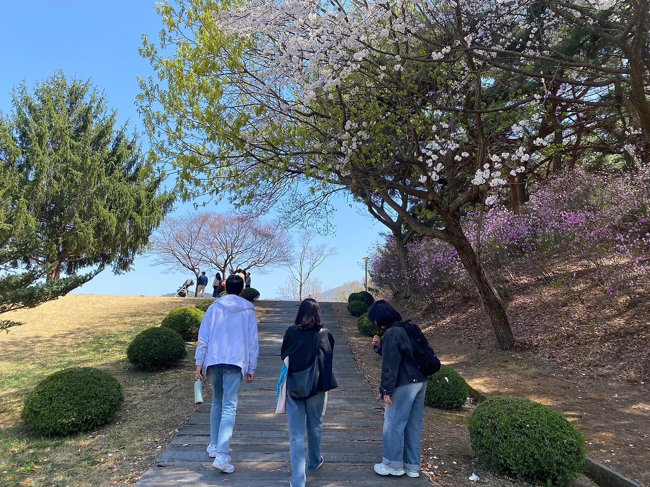 KakaoTalk_Photo_2023-04-09-22-53-43 012.jpeg