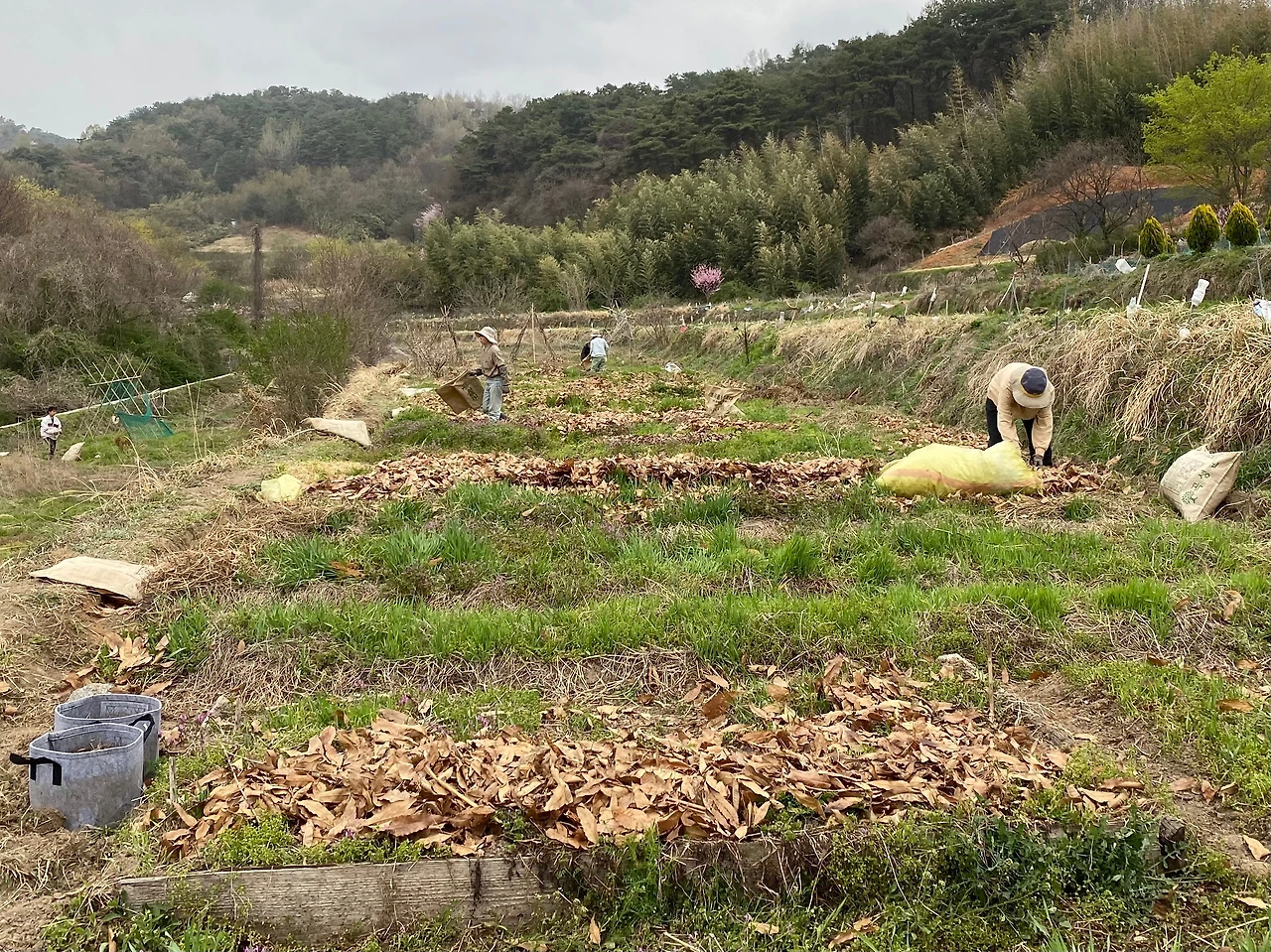 KakaoTalk_Photo_2023-04-09-22-53-41 004.jpeg