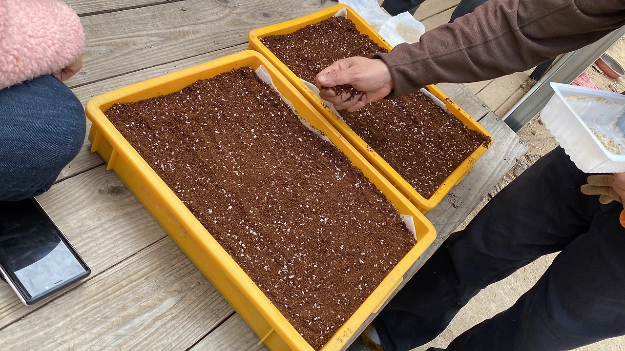 KakaoTalk_Photo_2023-03-12-20-18-55 003.jpeg