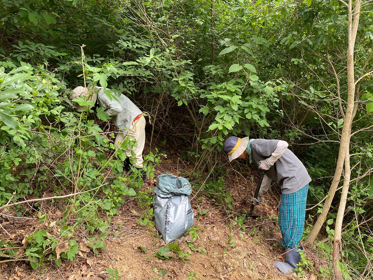 KakaoTalk_Photo_2023-05-28-21-24-05 016.jpeg