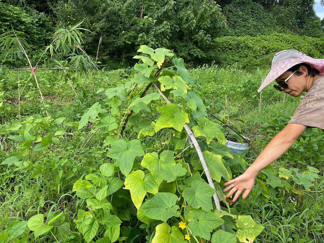 KakaoTalk_Photo_2023-08-13-19-11-40 010.jpeg