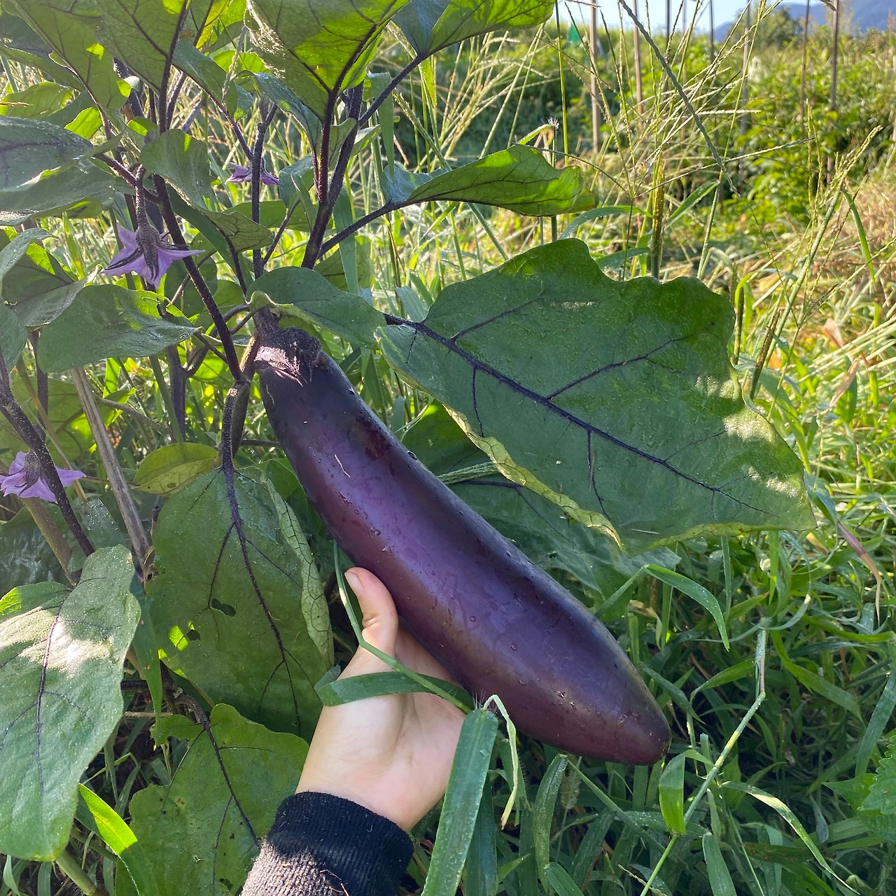 KakaoTalk_Photo_2023-09-11-22-15-00 011.jpeg