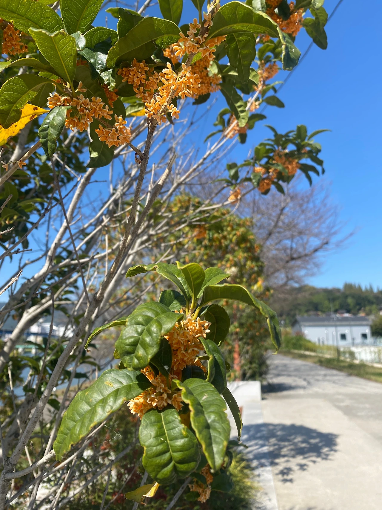 KakaoTalk_Photo_2023-11-22-18-18-31 005.jpeg