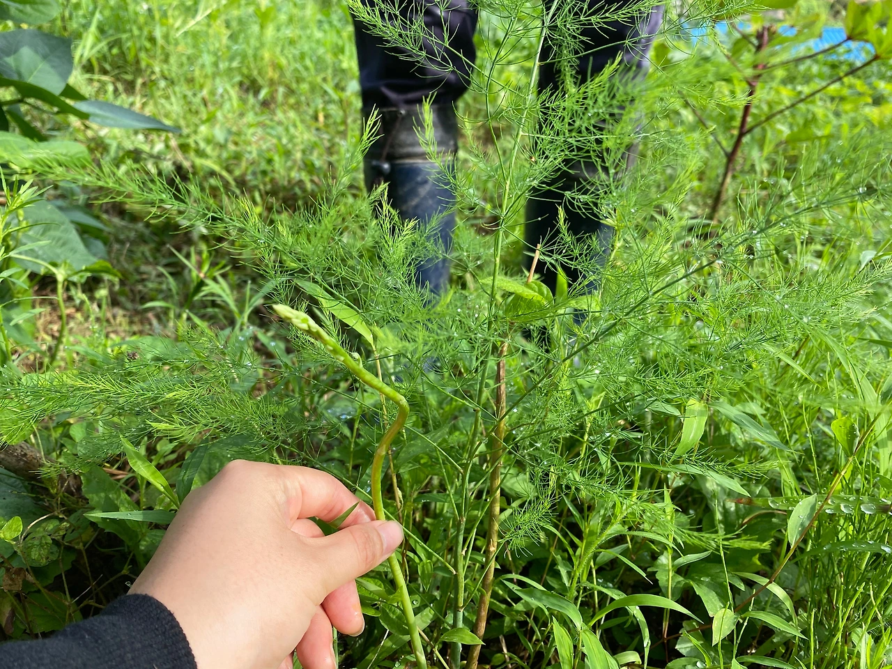 KakaoTalk_Photo_2023-08-13-19-11-40 008.jpeg