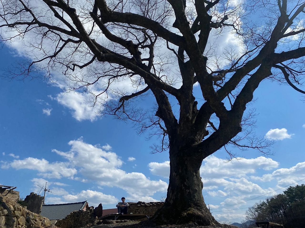 KakaoTalk_Photo_2023-03-19-21-44-30 008.jpeg