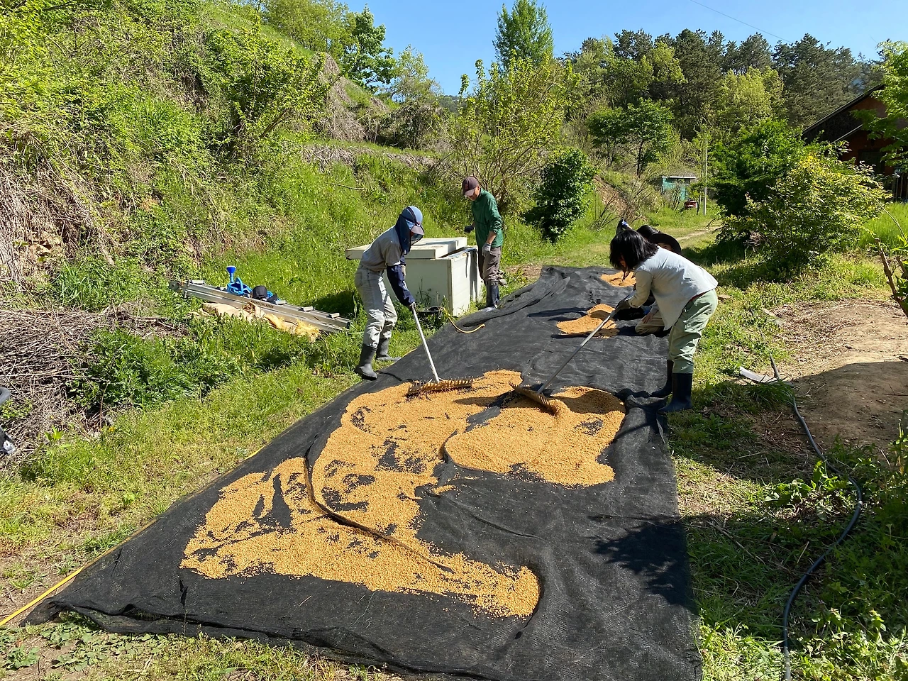 KakaoTalk_Photo_2023-04-30-23-02-16 013.jpeg