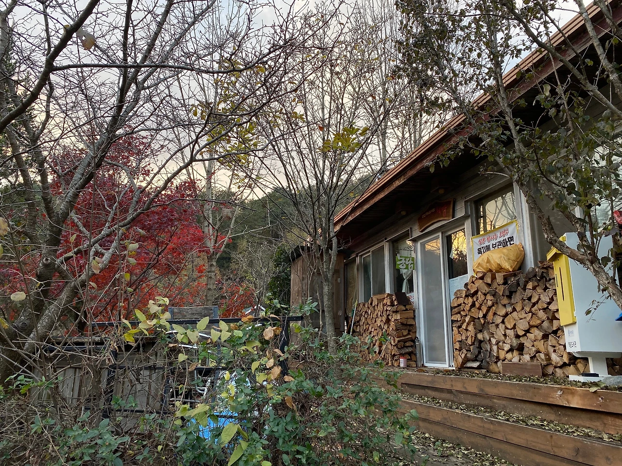 KakaoTalk_Photo_2023-11-22-18-21-30 005.jpeg