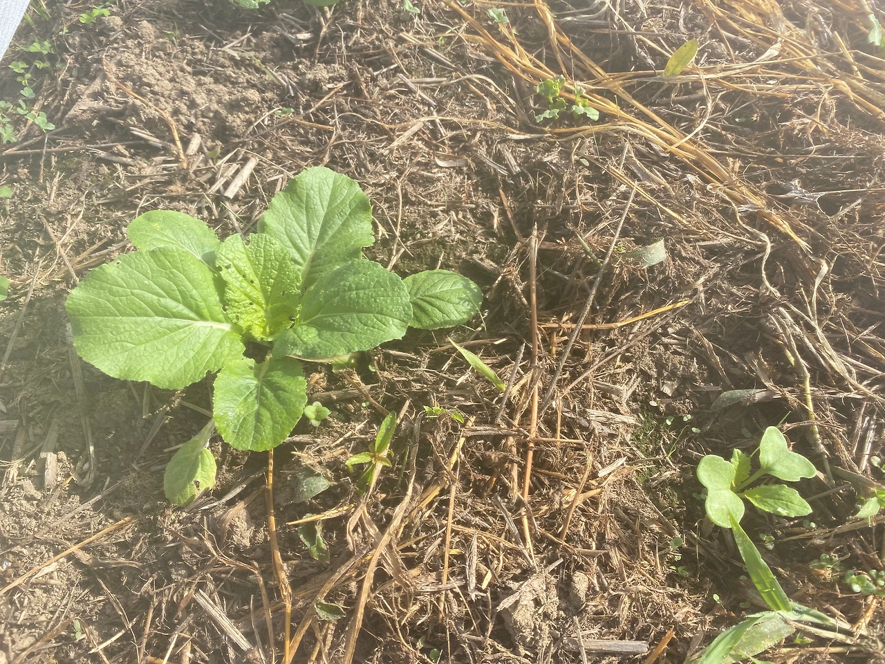 KakaoTalk_Photo_2023-09-11-22-14-59 008.jpeg