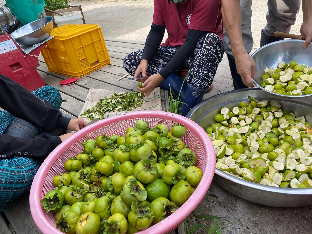 KakaoTalk_Photo_2023-08-29-23-31-52 018.jpeg