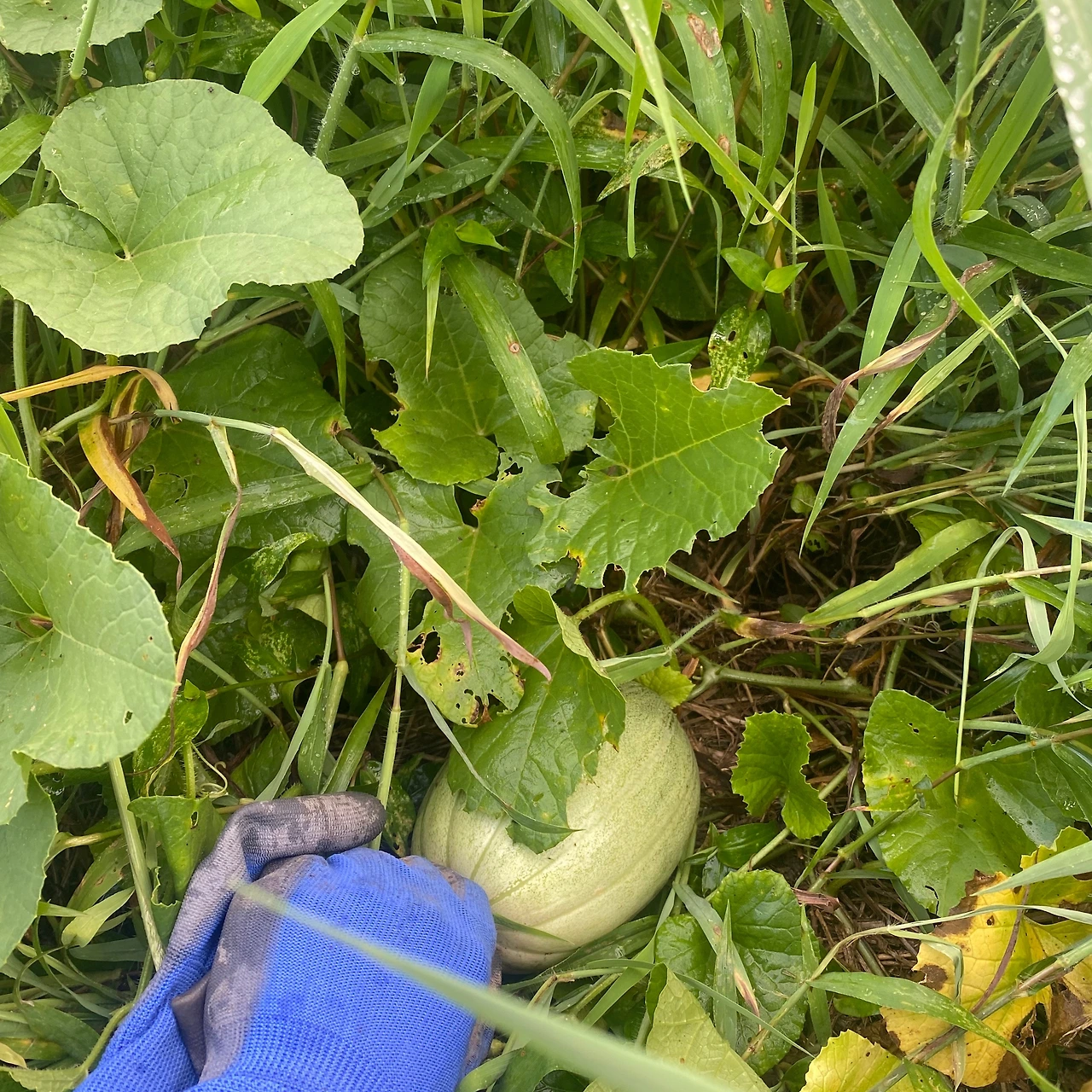 KakaoTalk_Photo_2023-08-29-23-31-50 015.jpeg