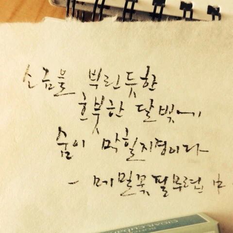 NaverBlog_20150228_084831_00.jpg?type=w2