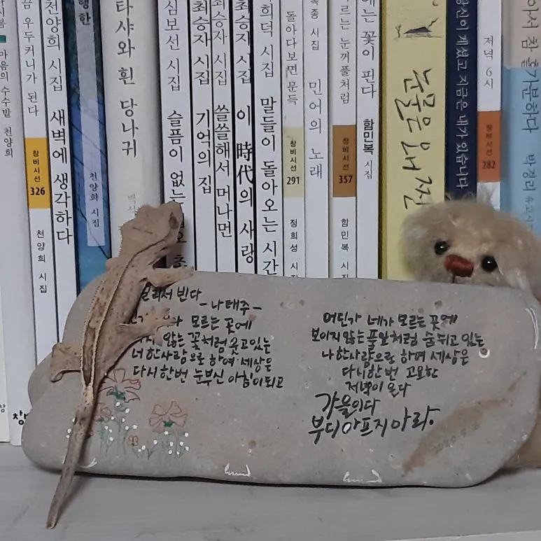 20220310_214747.jpg?type=w773