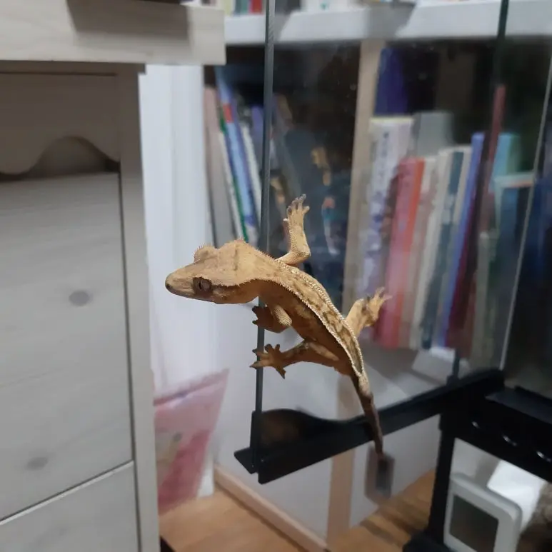 20220709_001601.jpg?type=w773