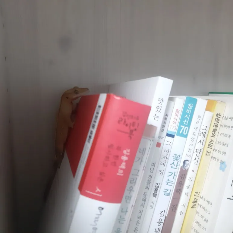 20220721_093956.jpg?type=w773