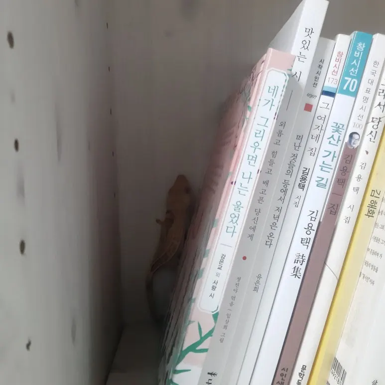 20220721_140357.jpg?type=w773