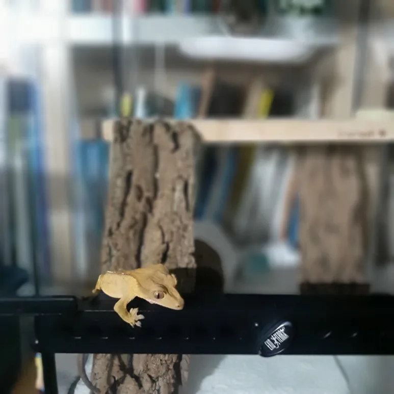 20220906_011934.jpg?type=w773