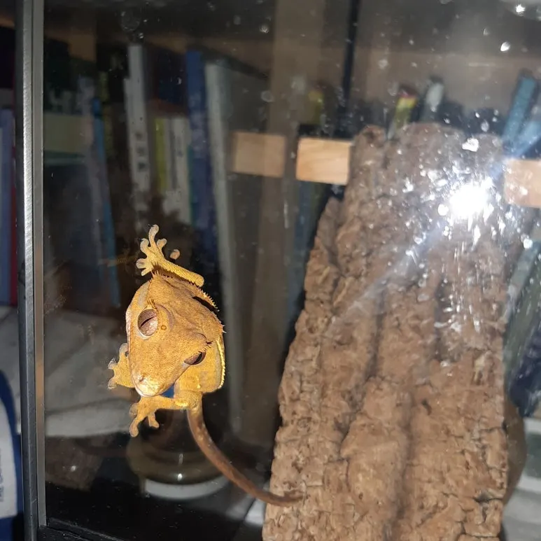 20220816_064131.jpg?type=w773