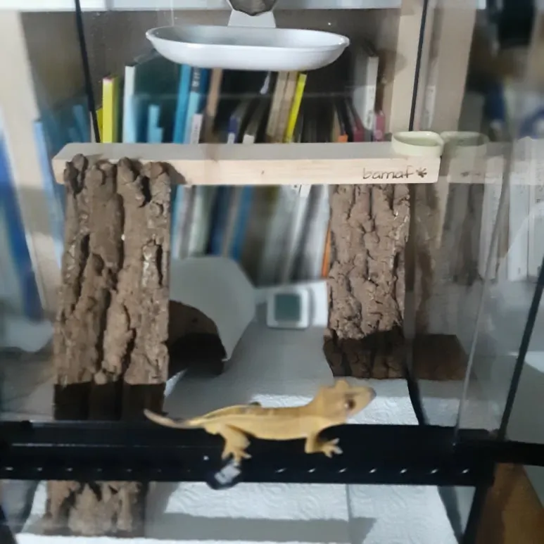 20220906_011953.jpg?type=w773