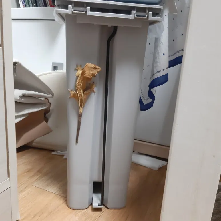 20220816_003343.jpg?type=w773