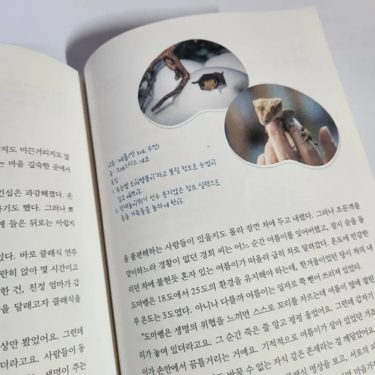 900%EF%BC%BF1738081502938.jpg?type=w773