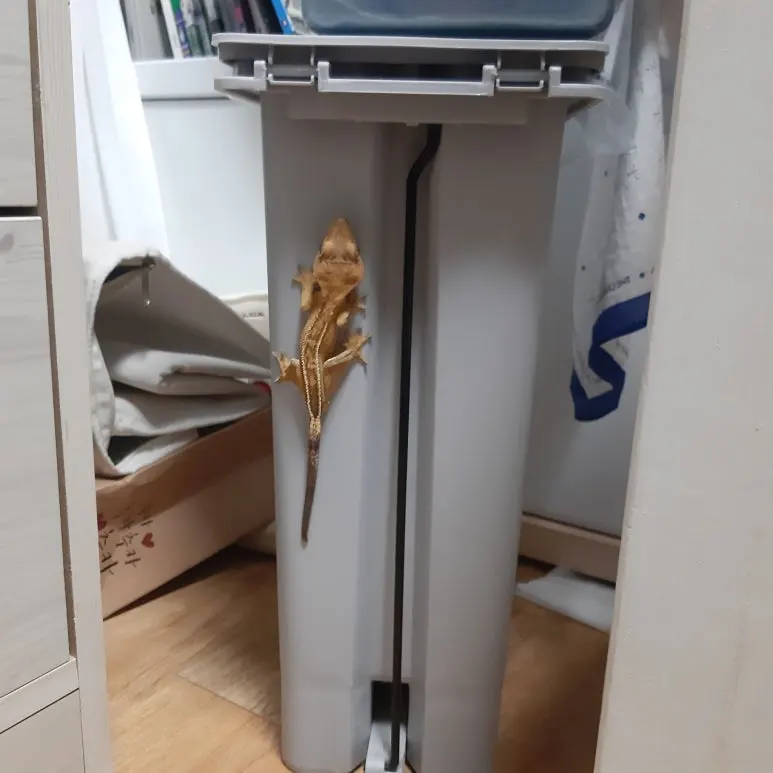 20220816_003301.jpg?type=w773