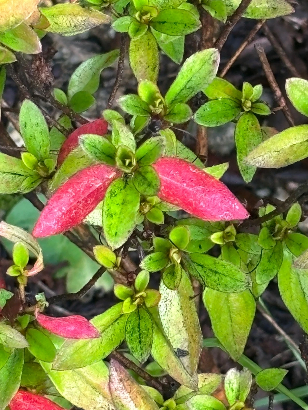 KakaoTalk_Photo_2025-05-31-19-48-48 006.jpeg