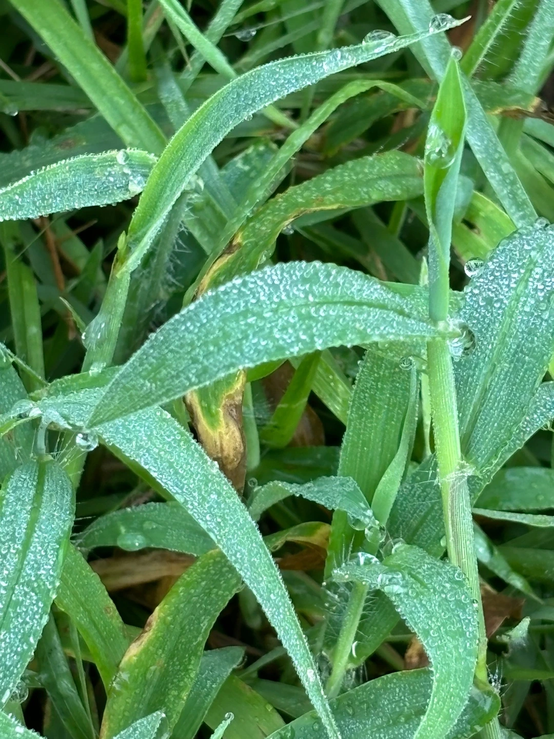 KakaoTalk_Photo_2025-05-31-19-48-48 003.jpeg