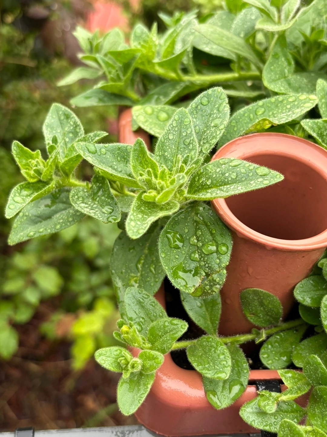 KakaoTalk_Photo_2025-05-31-19-48-48 001.jpeg