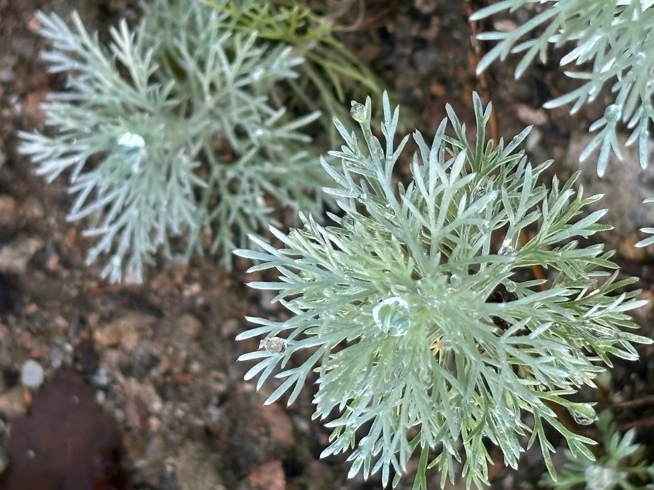 KakaoTalk_Photo_2025-05-31-19-48-48 005.jpeg