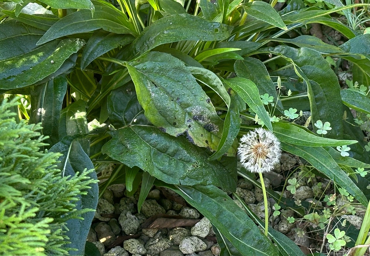 KakaoTalk_Photo_2025-05-31-19-48-48 002.jpeg