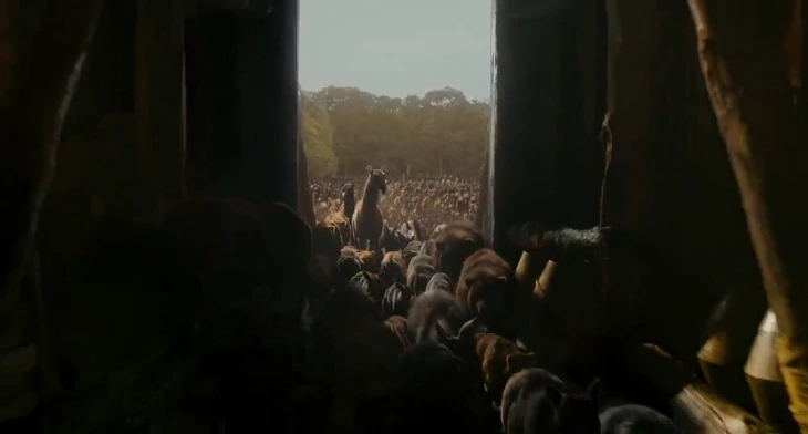 2452FC3E53493BB5175B83