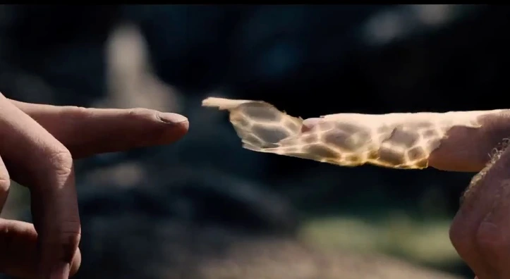 2117CC4053493CEC1F3BB4