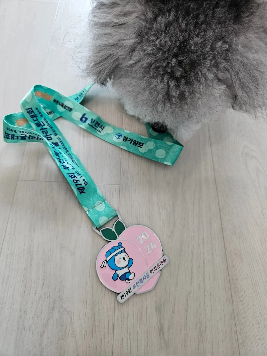 900%EF%BC%BF20241117%EF%BC%BF130612.jpg?type=w1