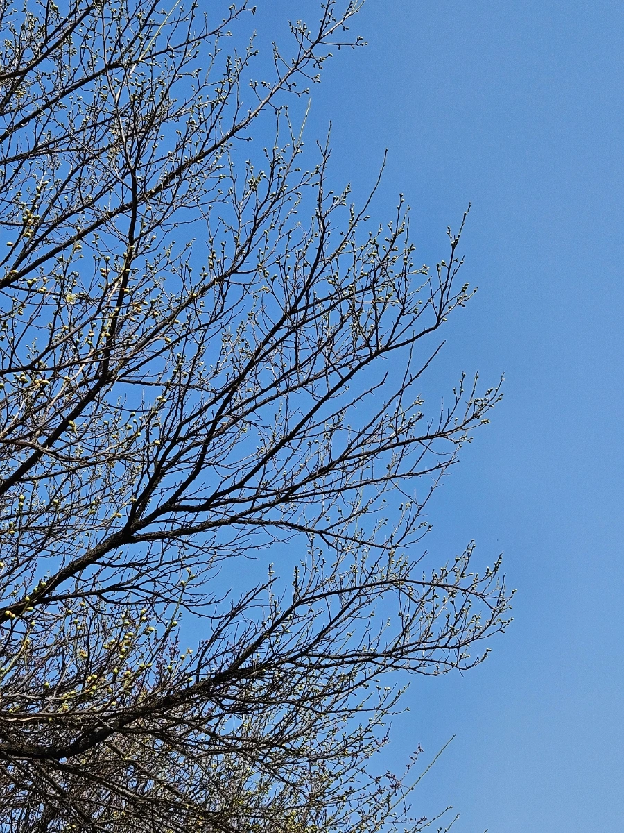 900%EF%BC%BF20250323%EF%BC%BF104057.jpg?type=w1