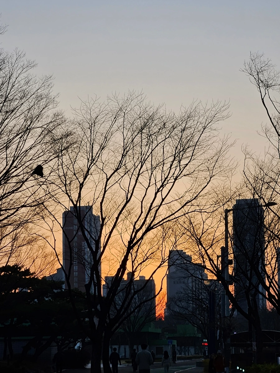 900%EF%BC%BF20250321%EF%BC%BF183620.jpg?type=w1