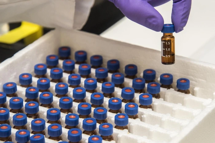 photo-1578761617765-d08a60e3f700?ixlib=rb-1.2.1&amp;ixid=eyJhcHBfaWQiOjEyMDd9&amp;auto=format&amp;fit=crop&amp;w=1000&amp;q=80