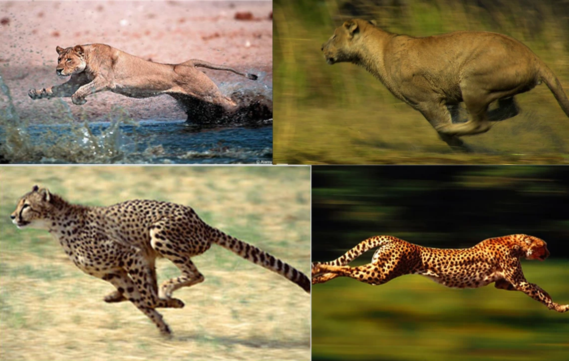 2025-06-20 16;15;04.PNG