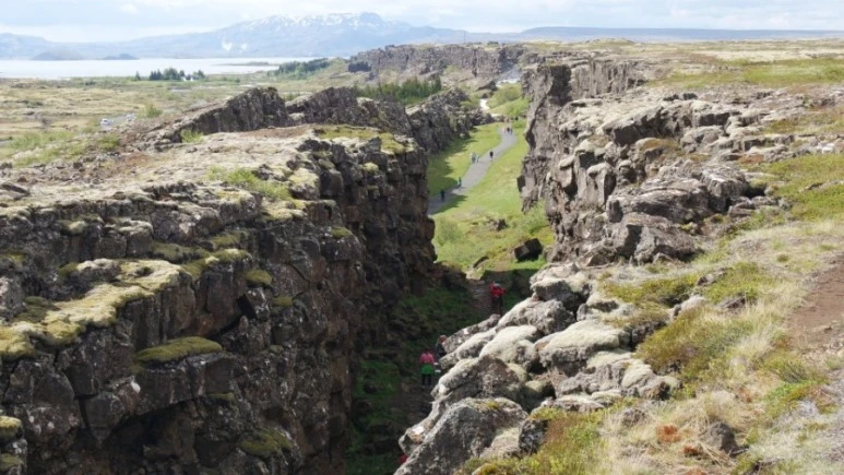 SAM_4370.JPG?type=w773