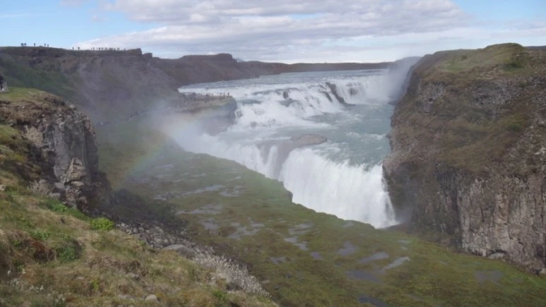 SAM_4452.JPG?type=w773