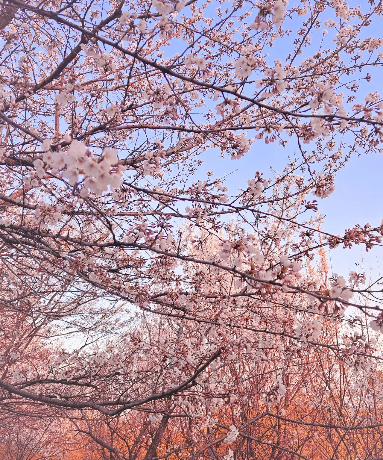 1743979366747?e=1749686400&v=beta&t=YMsoJiRIc37SGOvT63Ifnts6-tnbKV56jOiGgKremOk